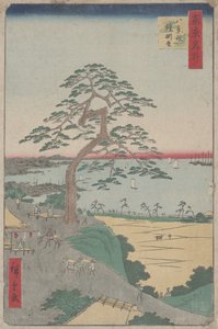 从江户100的观点看“Hakkeizaka的盔甲悬松”