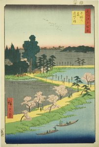 东神社的缠枝樟树，选自 "名所江户百景 "系列 作者 歌川宏重