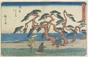 滨松松林，1841-1842