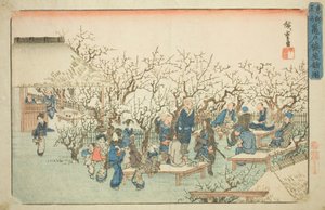 龟户梅园》，选自 "东都名胜（东都名胜）"系列 作者 歌川宏重