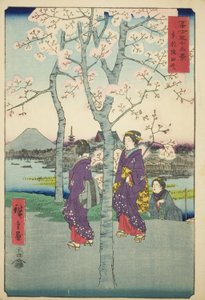 东都隅田堤岸（东都隅田堤岸），选自 "富士山三十六景 "系列 作者 歌川宏重