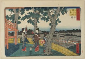 1853年11月，Matuschiyama山，Saruwaka区和Kinryu_zan寺的视图