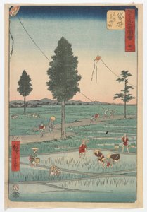二十八，福井，江户时代，1855年（彩色木版画）