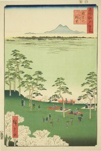 从飞鸟山向北眺望，选自 "名所江户百景 "系列 作者 歌川宏重