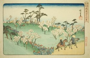 飞鸟山赏樱（飞鸟山花见），选自 "江户名胜（江户名胜）"系列 作者 歌川宏重
