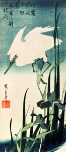 白苍鹭和虹膜（彩色木刻）