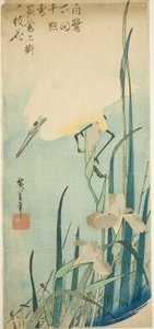 白鹭和鸢尾花 作者 歌川宏重