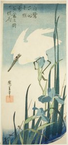 白鹭和鸢尾花 作者 歌川宏重