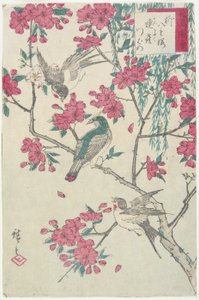 柳树，樱花，麻雀和燕子，19世纪初