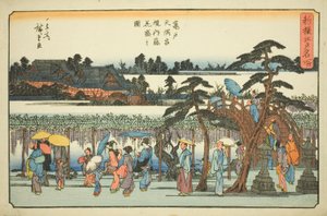 龟户天满宫院内盛开的紫藤，选自 "江户名胜新选 "系列。 作者 歌川宏重