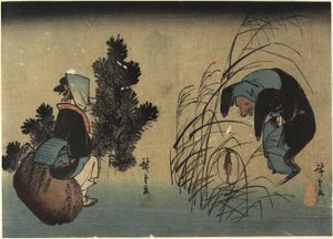 女人和獾