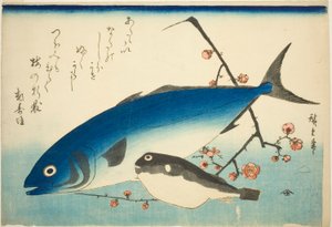 鰤鱼、河豚和梅枝 作者 歌川宏重