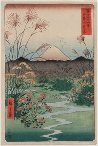富士山三十六景系列中的开Kai大冢（Kai tsuki no hara） 作者 歌川宏重