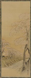 景观：溪流两岸的樱花树，江户时期，1615-1868。