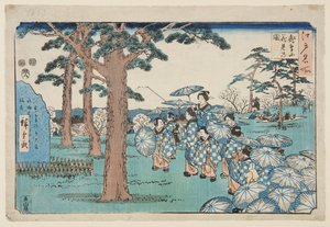 明日香山赏樱（彩色木版画 作者 歌川二广