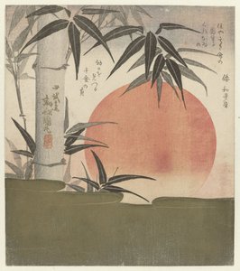 竹子和旭日
旭日和竹子 作者 歌川国丸