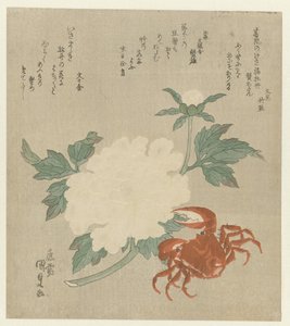 牡丹配螃蟹 作者 歌川国贞（一）