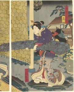 花
花
雪、月和花（系列名称）
节节高（物体上的系列名称） 作者 歌川国辉