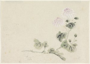 紫色和白色菊花 作者 歌川国义