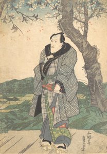 印刷品，19世纪。
