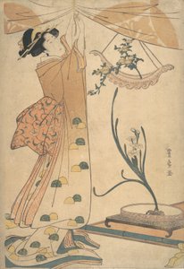 一个女人在绑窗帘，一个船形的菊花插花...，约1805年。 作者 歌川丰洋