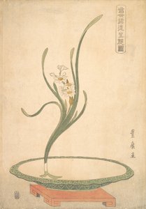 水仙花插在一个扁平的绿色盘子里。