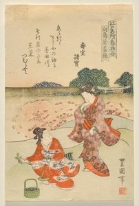 在向岛采集草药，选自《江户名胜春色》系列