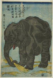 印度大象图》（Tenjiku hakurai dai zo no shashin），《东都两国名胜图》（Toto Ryogoku mimono）。