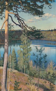 旷野湖，1895年 作者 VäinöAlfred Blomstedt