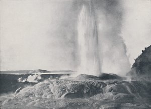 间歇泉，新西兰，1924年 作者 情人有限公司