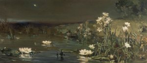 夜晚之星