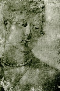 女主管研究 作者 威尼斯人学校