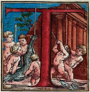 最初的T，来自Andreas Vesalius的《人体结构》页面的详细信息 作者 威尼斯人学校