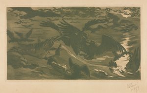 猛禽，1893年。