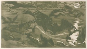 猛禽，1893年。