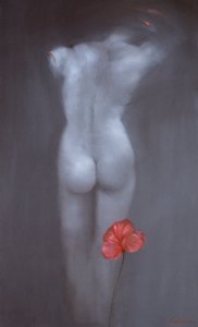 阿玛丽里斯 作者 维多利亚蒙特西诺斯