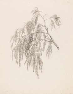分支机构