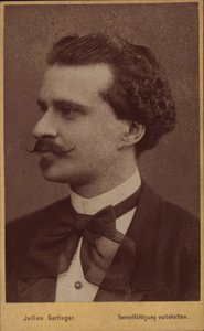 作曲家爱德华-施特劳斯1835-1916年的画像，1874年。 作者 维也纳。摄影工作室朱利叶斯·格廷格