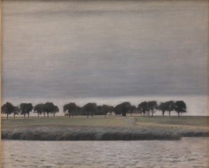 关于 "Solregn.根托夫特湖 "的初步研究 作者 威廉·哈默修伊