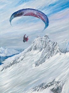 南极飞行物，2015年， 作者 文森特·亚历山大·布斯