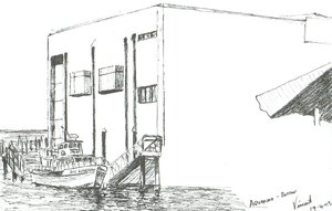 Aquarium Boston Mass, 2003 作者 文森特·亚历山大·布斯