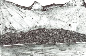 考西-派克，2005 年 作者 文森特·亚历山大·布斯