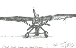 Lysander at Old Warden, 2012 作者 文森特·亚历山大·布斯