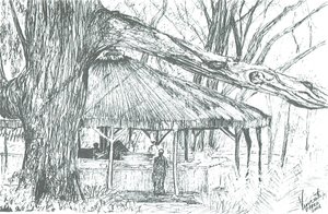 户外酒吧，奈瓦沙湖，2006年；（纸上水墨）。 作者 文森特·亚历山大·布斯