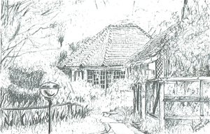 Rooms at hotel,Lake Naivasha, 2006 作者 文森特·亚历山大·布斯