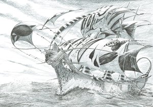 风暴创造者奇洛海，2018 年 作者 文森特·亚历山大·布斯