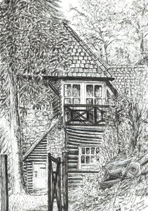 The Log House，2019，（墨水在纸上） 作者 文森特·亚历山大·布斯