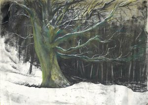 Tree in winter snow at Osmotherley woods 作者 文森特·亚历山大·布斯