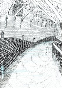 第41页，Findhorn森林中的城堡，2006年，（纸上墨水） 作者 文森特·亚历山大·布斯