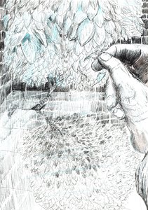 第43页，Findhorn森林中的城堡，2006年，（纸上墨水） 作者 文森特·亚历山大·布斯